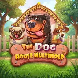 The Dog House Multihold game at Rooli Casino for Australia players The Dog House Multihold game at Rooli Casino for Australia players